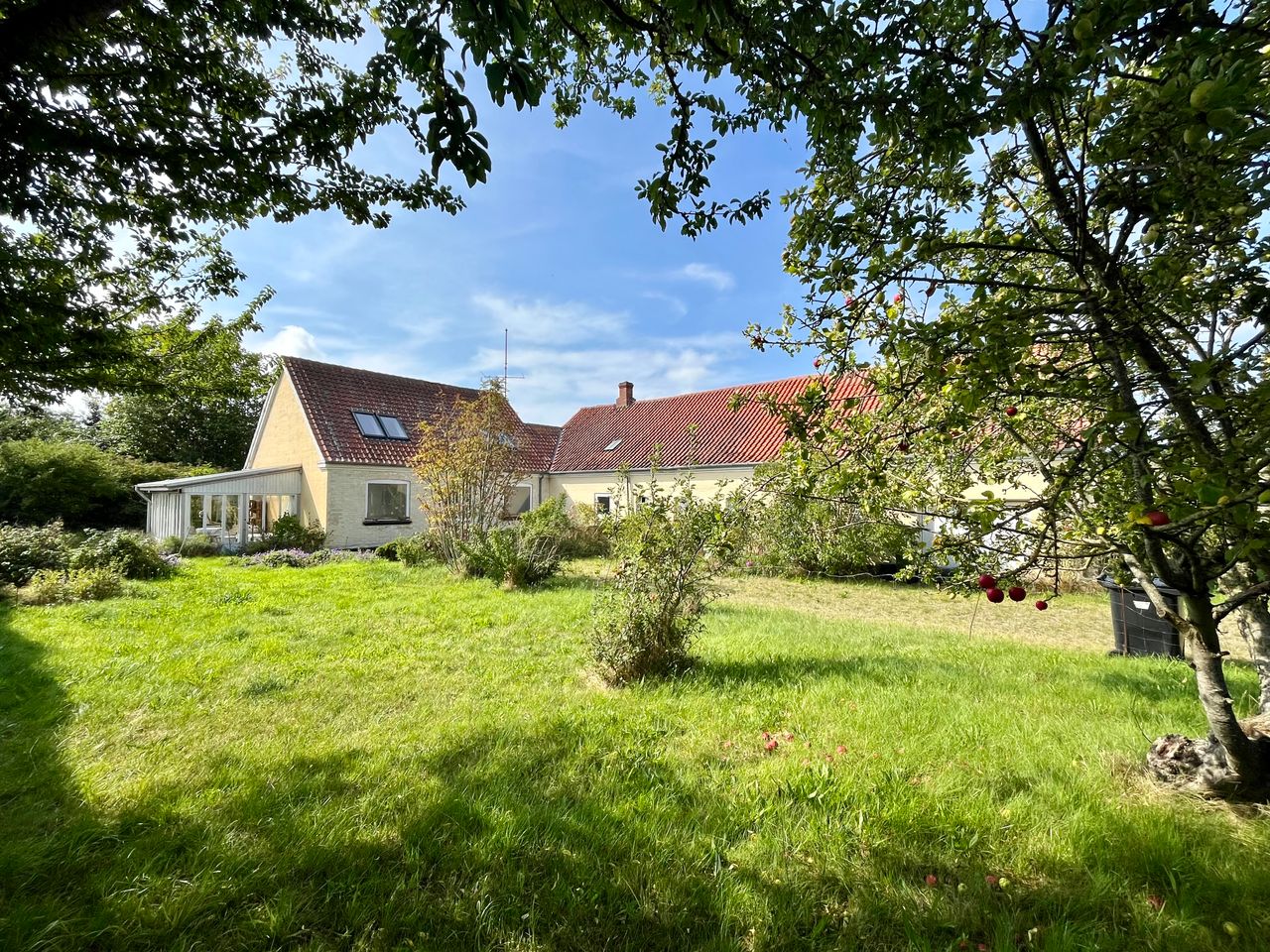 image 01